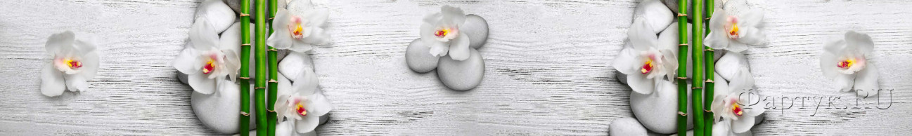 Скинали — Белая орхидея-завораживающая красота