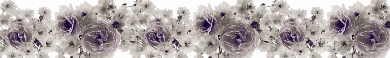 Скинали — Нежнейшие цветы на белом фоне