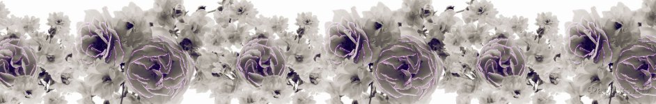 Скинали — Нежнейшие цветы на белом фоне