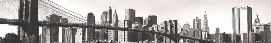 Скинали — Бруклинский мост в серых тонах