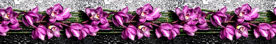 Скинали — Фиолетовые орхидеи и капли воды