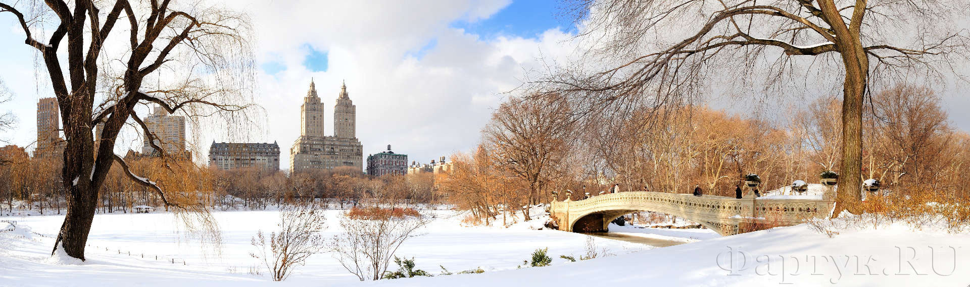 Центральный парк зимой, Нью-Йорк
