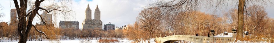 Скинали — Центральный парк зимой, Нью-Йорк