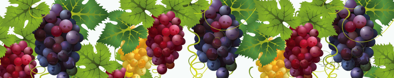 Скинали — Гроздья спелого, сочного винограда