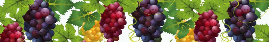 Скинали — Гроздья спелого, сочного винограда