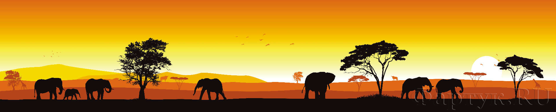 Сафари, слоны на закате