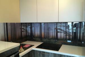 Стеновая панель фото: лес, заказ #КРУТ-239, Серая кухня.