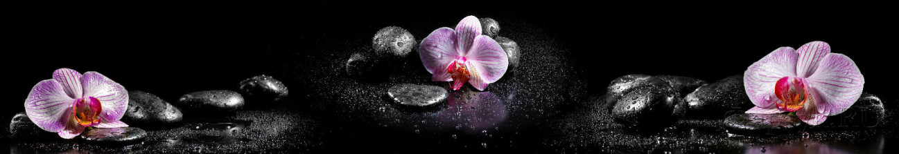 Скинали — Орхидеи и черные камни