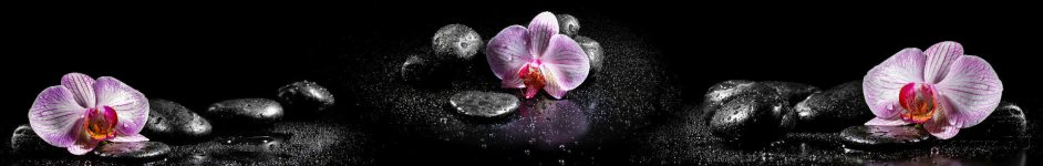 Скинали — Орхидеи и черные камни