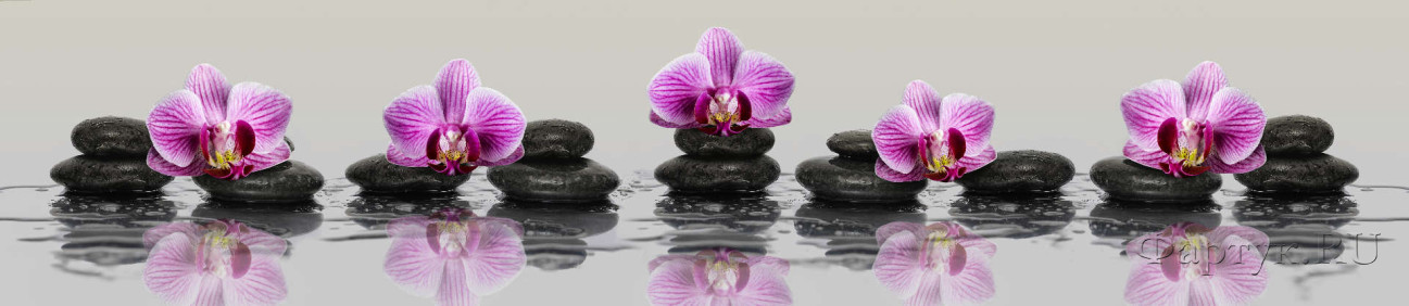 Скинали — Фиолетовые орхидеи в воде с отражением