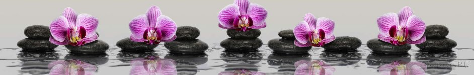 Скинали — Фиолетовые орхидеи в воде с отражением