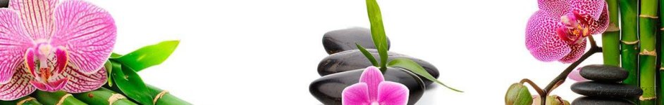 Скинали — Орхидеи, камни, тростник
