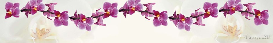 Скинали — Ветки фиолетовой орхидеи