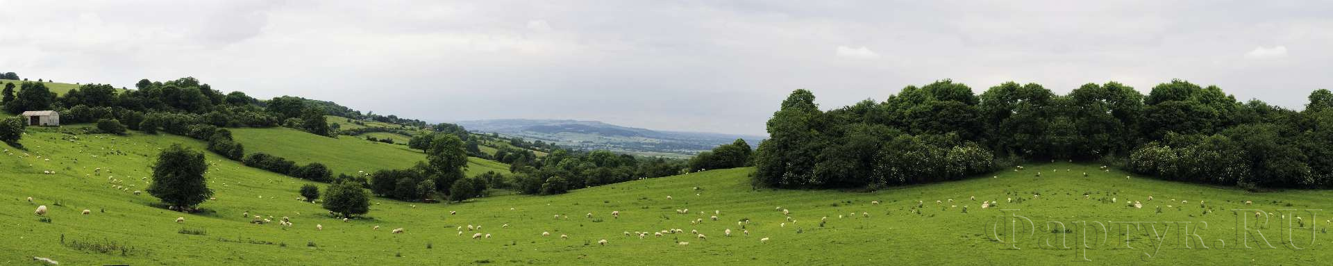 Холм с кочующими овцами, Англия