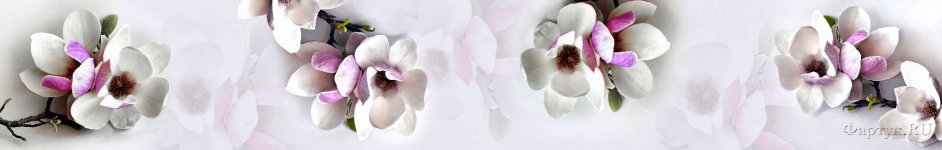 Скинали — Нежная орхидея 