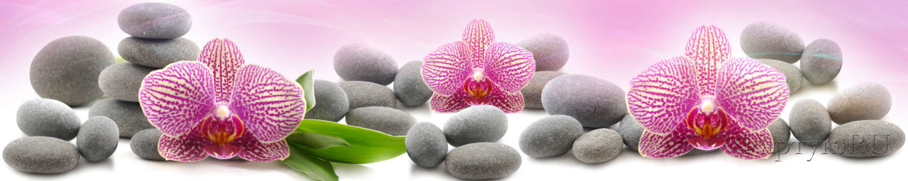 Скинали — Орхидеи и камни на розовом фоне