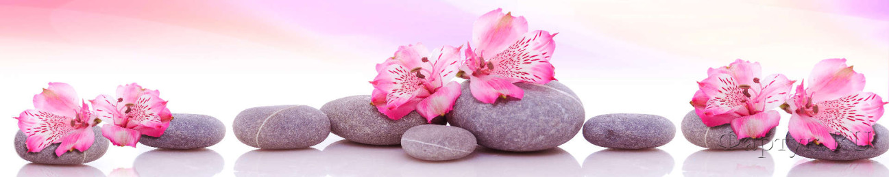 Скинали — розовые цветы на камнях