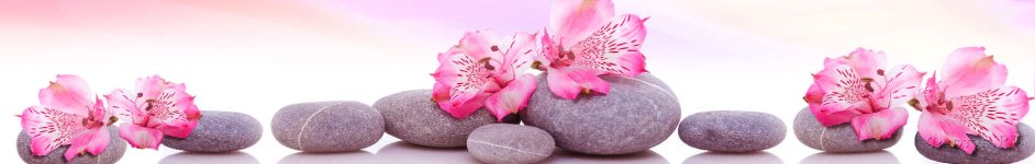 Скинали — розовые цветы на камнях