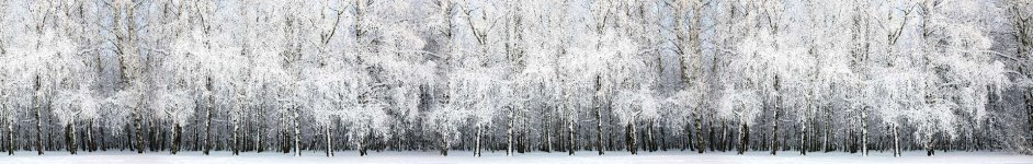 Скинали — Березы, зимний пейзаж