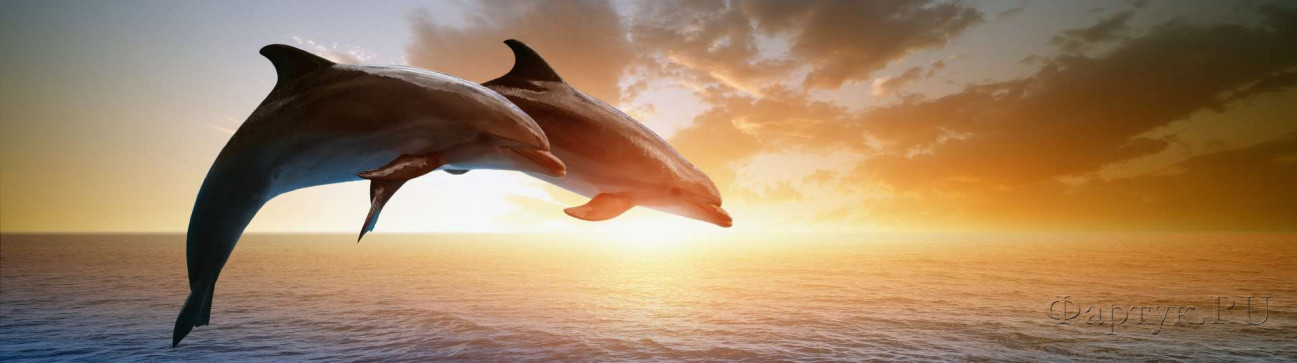 Скинали — Дельфины на закате над водой