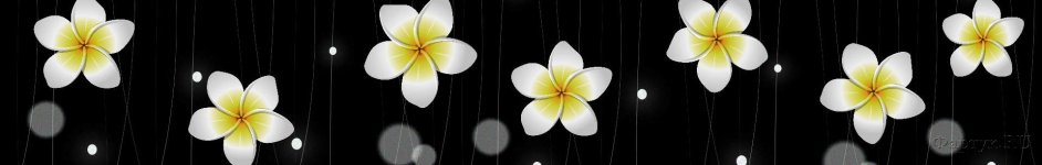 Скинали — Цветки, бусины на черном фоне