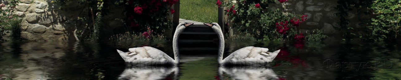 Скинали — Лебединая пара в пруду