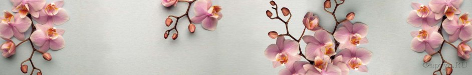 Скинали — Орхидеи на сером фоне
