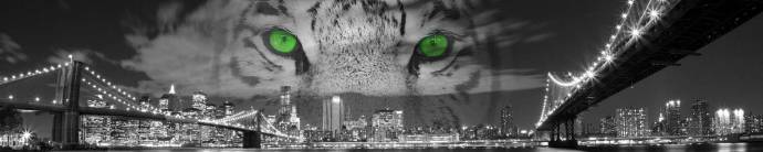 Скинали — Черно-белый тигр с зелеными глазами на фоне Бруклинского моста