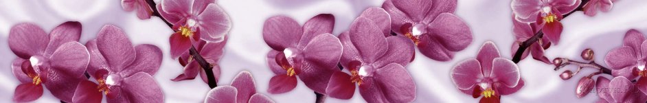 Скинали — Крупная орхидея сиреневая на фоне шелка 