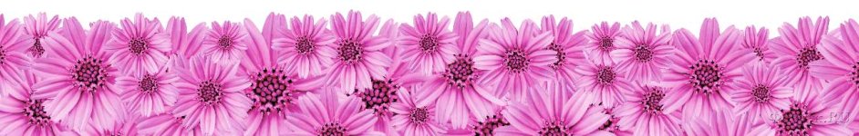 Скинали — Розовые герберы на белом фоне