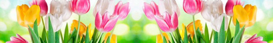 Скинали — Красивые цветы