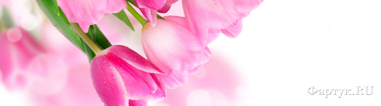 Скинали — Нежно-розовые тюльпаны