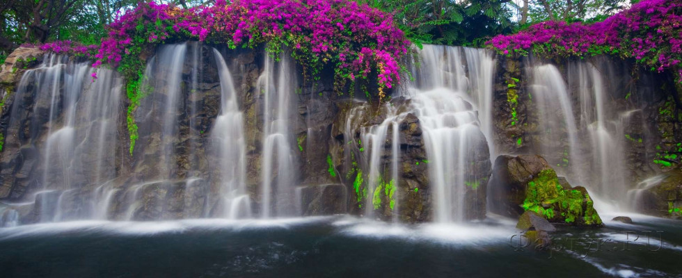 Скинали — Водопад в цветах