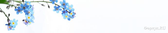 Скинали — Голубые цветки на ветке