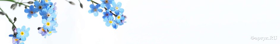 Скинали — Голубые цветки на ветке