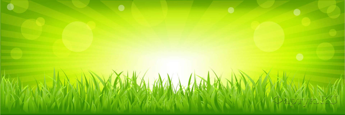 Скинали — Зеленая трава в солнечных бликах