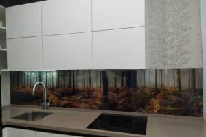 Фартук для кухни фото: осенний пейзаж в лесу, заказ #ИНУТ-10491, Белая кухня.