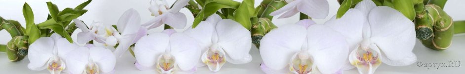 Скинали — Белые орхидеи и бамбук 