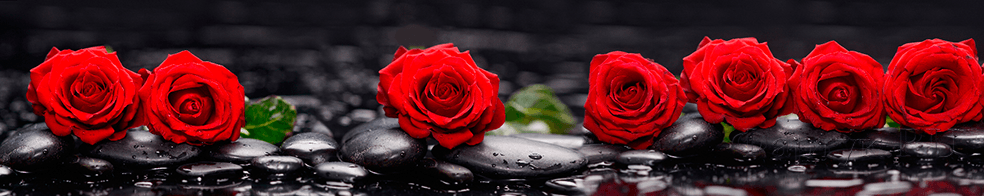Скинали — Красные розы на черных камнях