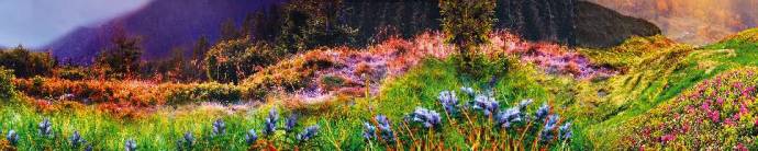 Скинали — Цветочная поляна в горах
