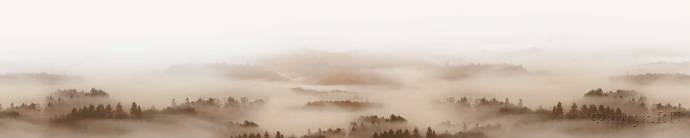 Скинали — Хвойный лес в тумане