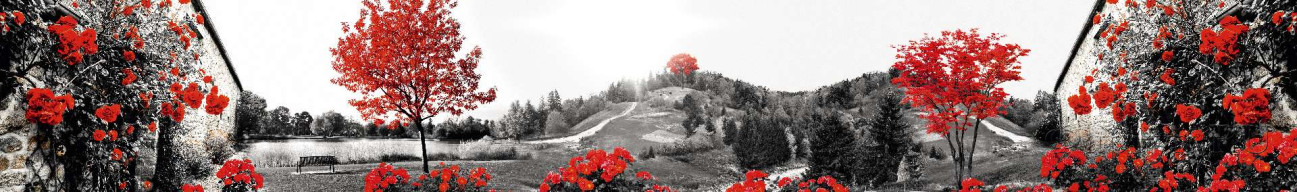 Скинали — пейзаж черно-белый с красными цветами