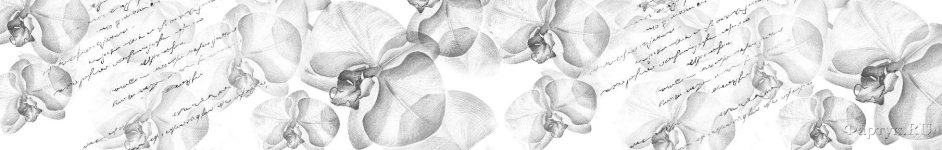 Скинали — Орхидеи черно-белая картинка с надписями