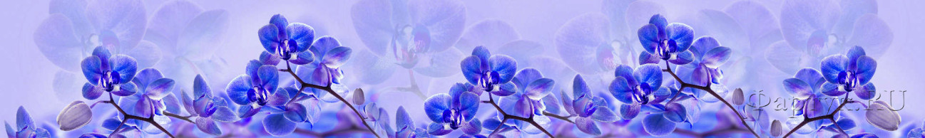 Скинали — Голубые орхидеи
