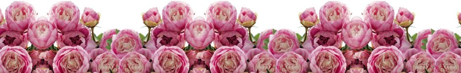 Скинали — Розовые пионы