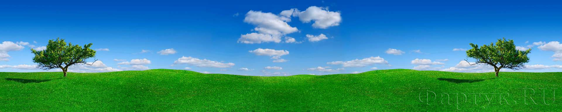 Синее небо, зеленая трава