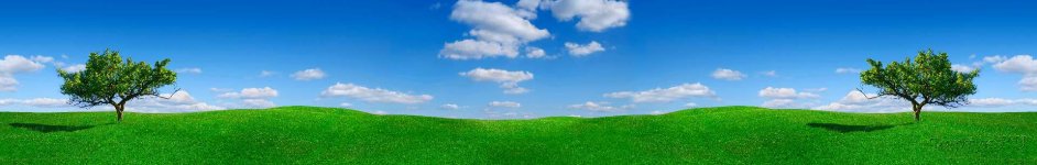 Скинали — Синее небо, зеленая трава