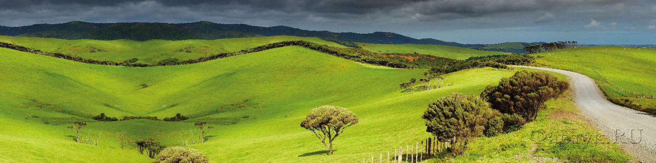 Скинали — Холмистые зеленые поля 