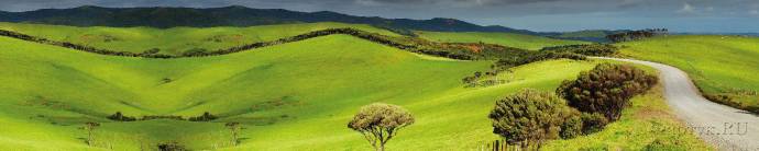 Скинали — Холмистые зеленые поля 