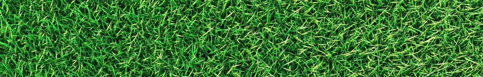 Скинали — Зеленый газон